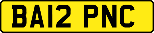 BA12PNC