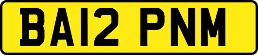BA12PNM