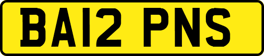 BA12PNS