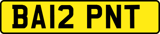 BA12PNT