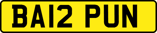 BA12PUN