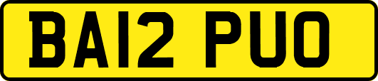 BA12PUO