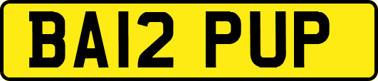 BA12PUP