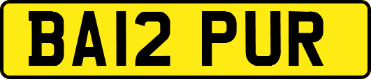 BA12PUR