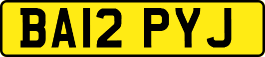 BA12PYJ