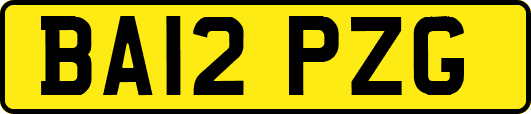 BA12PZG