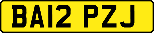 BA12PZJ