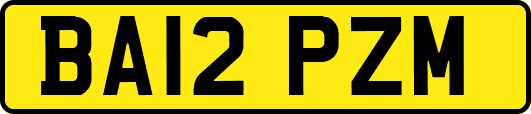 BA12PZM