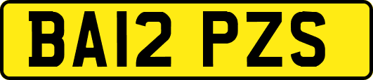 BA12PZS