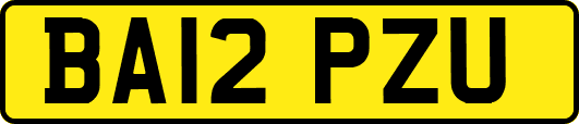 BA12PZU