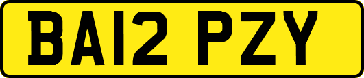 BA12PZY
