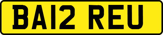 BA12REU