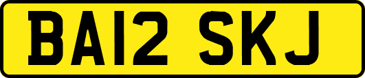 BA12SKJ