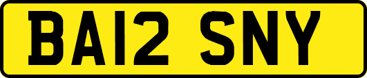 BA12SNY