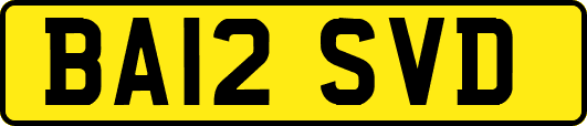 BA12SVD