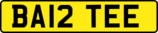 BA12TEE