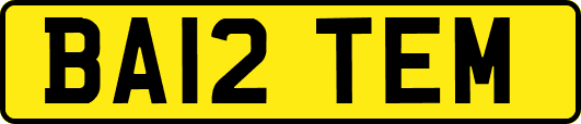 BA12TEM