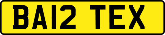 BA12TEX