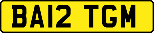 BA12TGM