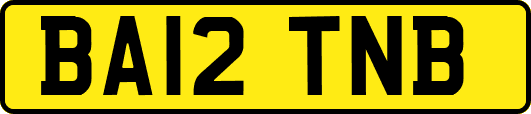 BA12TNB