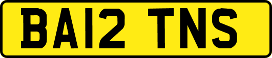 BA12TNS