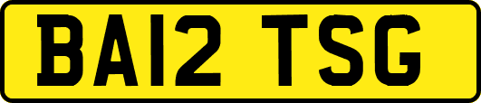 BA12TSG