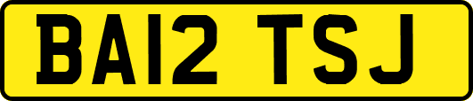 BA12TSJ