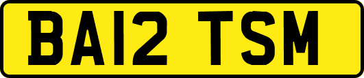 BA12TSM