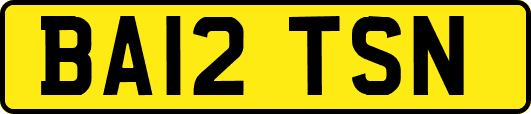 BA12TSN
