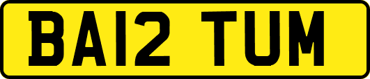 BA12TUM