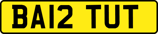 BA12TUT