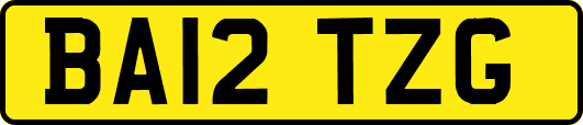 BA12TZG