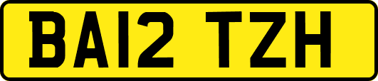 BA12TZH