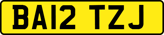 BA12TZJ