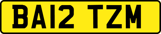 BA12TZM