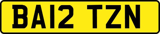 BA12TZN