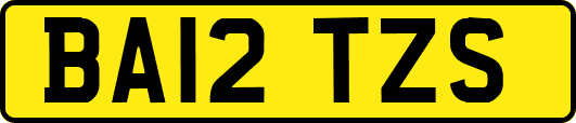 BA12TZS