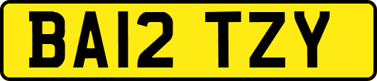 BA12TZY