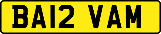 BA12VAM