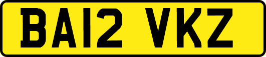BA12VKZ