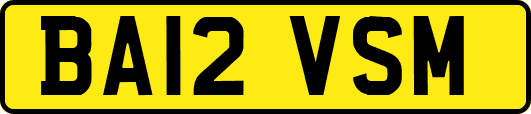 BA12VSM
