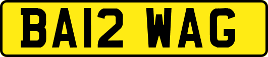 BA12WAG