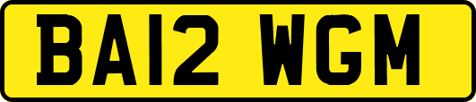 BA12WGM