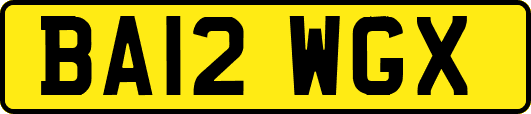 BA12WGX