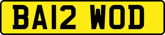 BA12WOD