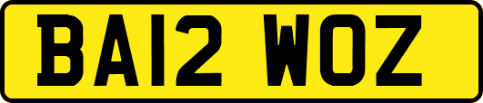 BA12WOZ