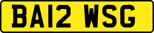 BA12WSG