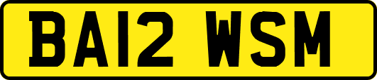 BA12WSM