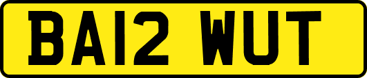 BA12WUT