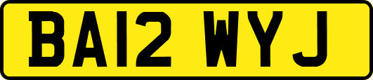 BA12WYJ